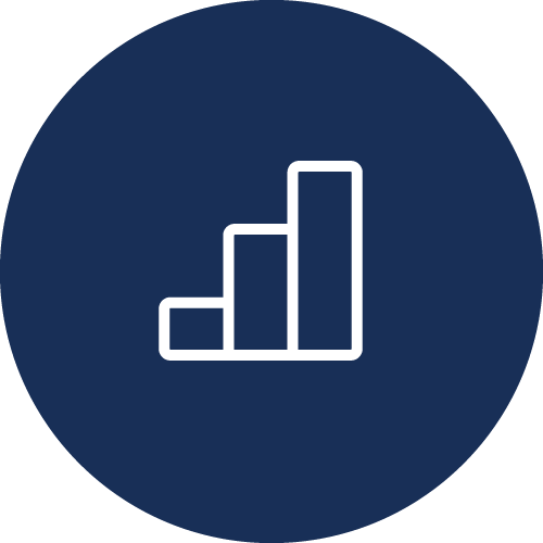 Performance Metrics Icon